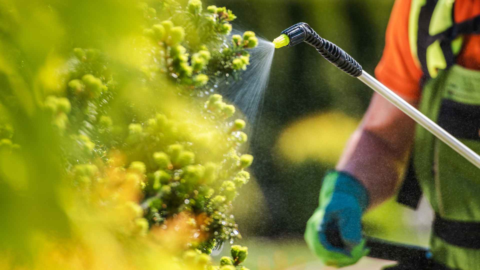 Una ricetta per agrofarmaci e fertilizzanti